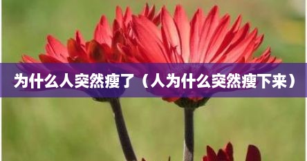 为什么人突然瘦了（人为什么突然瘦下来）