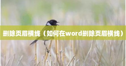删除页眉横线（如何在word删除页眉横线）