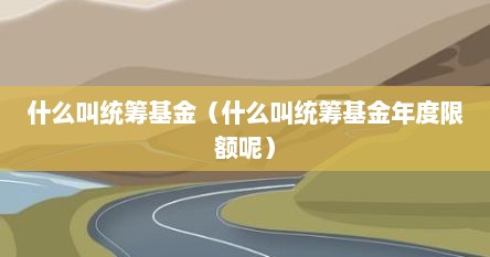 什么叫统筹基金（什么叫统筹基金年度限额呢）
