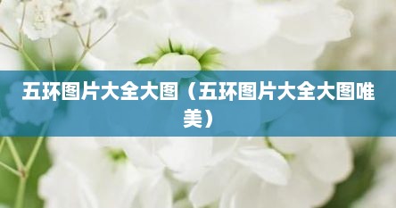 五环图片大全大图（五环图片大全大图唯美）