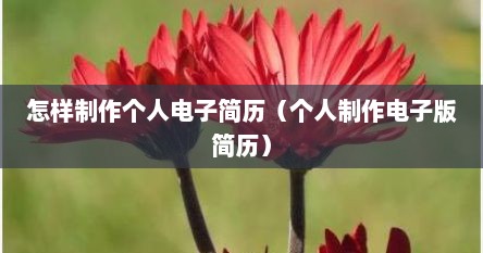 怎样制作个人电子简历（个人制作电子版简历）