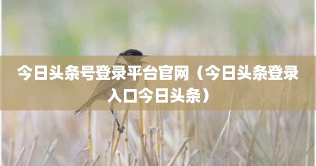 今日头条号登录平台官网（今日头条登录入口今日头条）