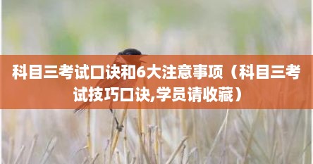 科目三考试口诀和6大注意事项（科目三考试技巧口诀,学员请收藏）