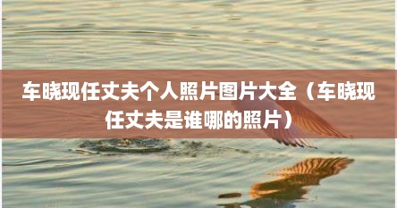 车晓现任丈夫个人照片图片大全（车晓现任丈夫是谁哪的照片）