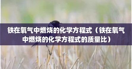 铁在氧气中燃烧的化学方程式（铁在氧气中燃烧的化学方程式的质量比）