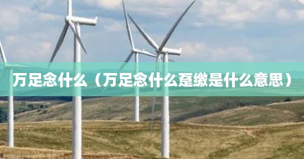 万足念什么（万足念什么趸缴是什么意思）