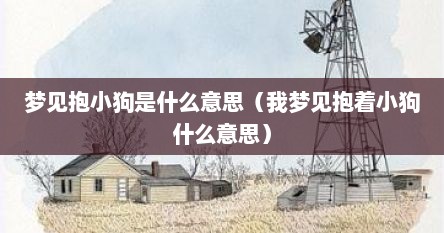 梦见抱小狗是什么意思（我梦见抱着小狗什么意思）