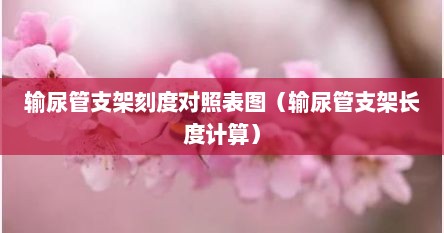 输尿管支架刻度对照表图（输尿管支架长度计算）