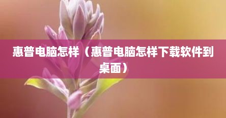 惠普电脑怎样（惠普电脑怎样下载软件到桌面）