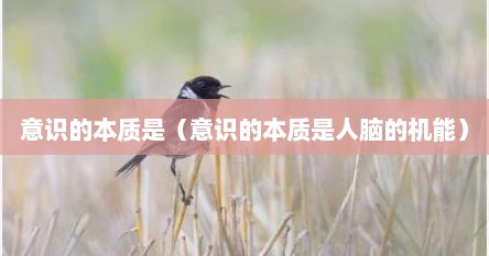意识的本质是（意识的本质是人脑的机能）