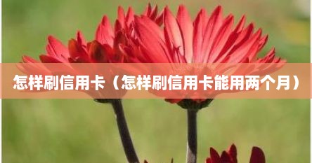 怎样刷信用卡（怎样刷信用卡能用两个月）