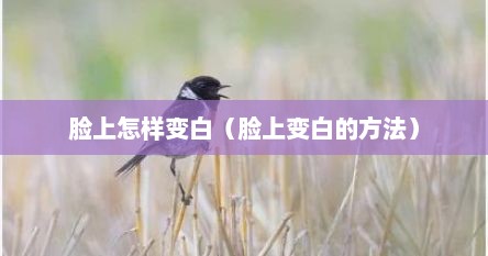 脸上怎样变白（脸上变白的方法）