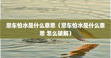 忌车怕水是什么意思（忌车怕水是什么意思 怎么破解）