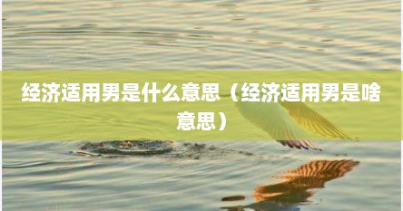 经济适用男是什么意思（经济适用男是啥意思）