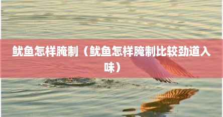 鱿鱼怎样腌制（鱿鱼怎样腌制比较劲道入味）