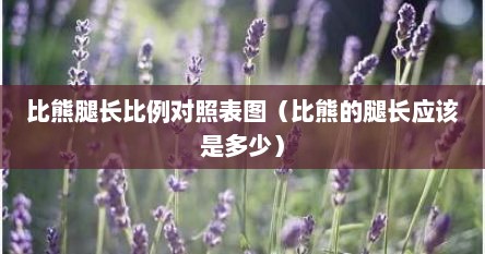比熊腿长比例对照表图（比熊的腿长应该是多少）