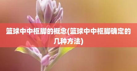 篮球中中枢脚的概念(篮球中中枢脚确定的几种方法)