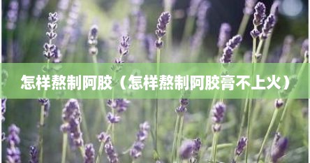 怎样熬制阿胶（怎样熬制阿胶膏不上火）