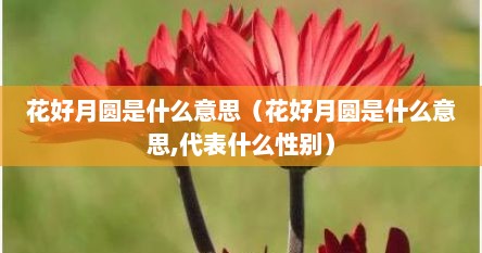 花好月圆是什么意思（花好月圆是什么意思,代表什么性别）