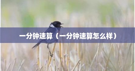 一分钟速算（一分钟速算怎么样）