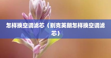 怎样换空调滤芯（别克英朗怎样换空调滤芯）