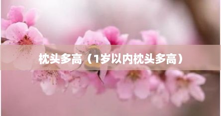 枕头多高（1岁以内枕头多高）