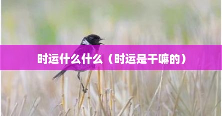 时运什么什么（时运是干嘛的）
