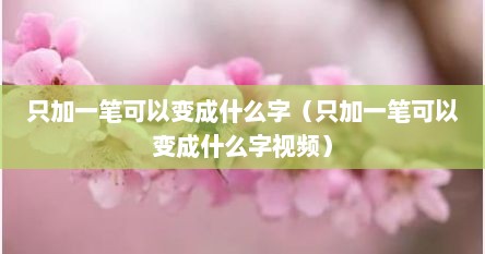 只加一笔可以变成什么字（只加一笔可以变成什么字视频）