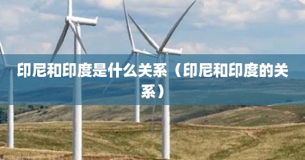 印尼和印度是什么关系（印尼和印度的关系）