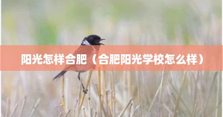阳光怎样合肥（合肥阳光学校怎么样）