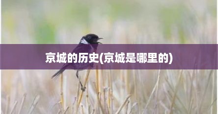 京城的历史(京城是哪里的)
