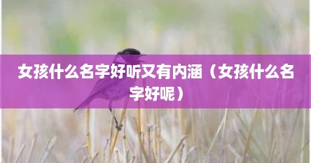 女孩什么名字好听又有内涵（女孩什么名字好呢）