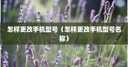 怎样更改手机型号（怎样更改手机型号名称）