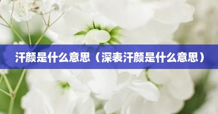 汗颜是什么意思（深表汗颜是什么意思）