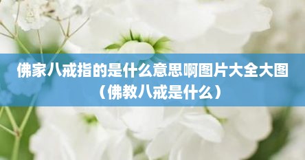 佛家八戒指的是什么意思啊图片大全大图（佛教八戒是什么）
