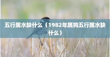五行属水的狗五行缺什么（1994年属狗五行缺水怎么补）
