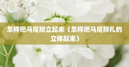 怎样把马尾辫立起来（怎样把马尾辫扎的立体起来）