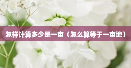 怎样计算多少是一亩（怎么算等于一亩地）