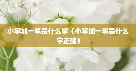 小字加一笔是什么字(小字加一笔是什么字正确) 小字加一笔是什么字(小字加一笔是什么字正确)