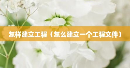 怎样建立工程（怎么建立一个工程文件）