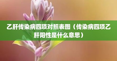 乙肝传染病四项对照表图（传染病四项乙肝阳性是什么意思）