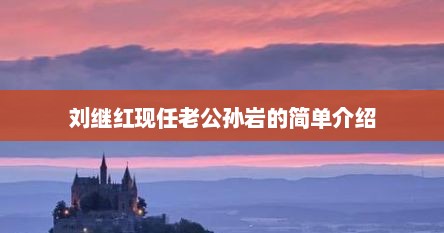 刘继红现任老公孙岩的简单介绍