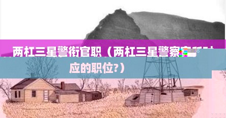 两杠三星警衔官职（两杠三星警察官所对应的职位?）