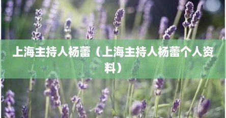 上海主持人杨蕾（上海主持人杨蕾个人资料）