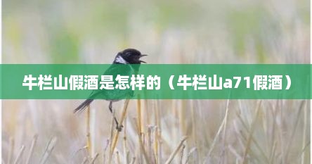 牛栏山假酒是怎样的（牛栏山a71假酒）