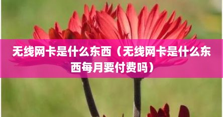 无线网卡是什么东西（无线网卡是什么东西每月要付费吗）