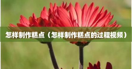 怎样制作糕点（怎样制作糕点的过程视频）