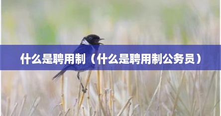 什么是聘用制（什么是聘用制公务员）