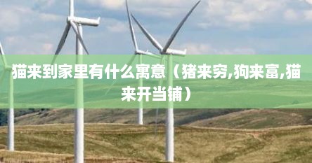猫来到家里有什么寓意（猪来穷,狗来富,猫来开当铺）