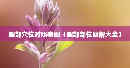 腿部穴位对照表图（腿部部位图解大全）